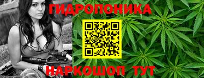 мяу мяу мука Мариинск