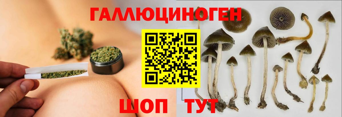 Галлюциногенные грибы Psilocybe  закладки  Санкт-Петербург  Вход с VPN 